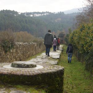 Cammino Acquedotto Nottolini