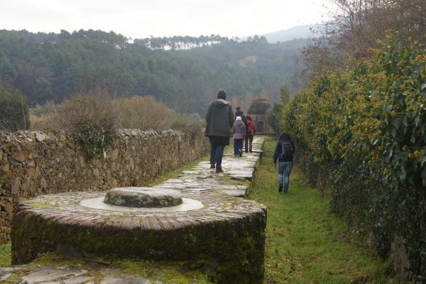 Cammino Acquedotto Nottolini