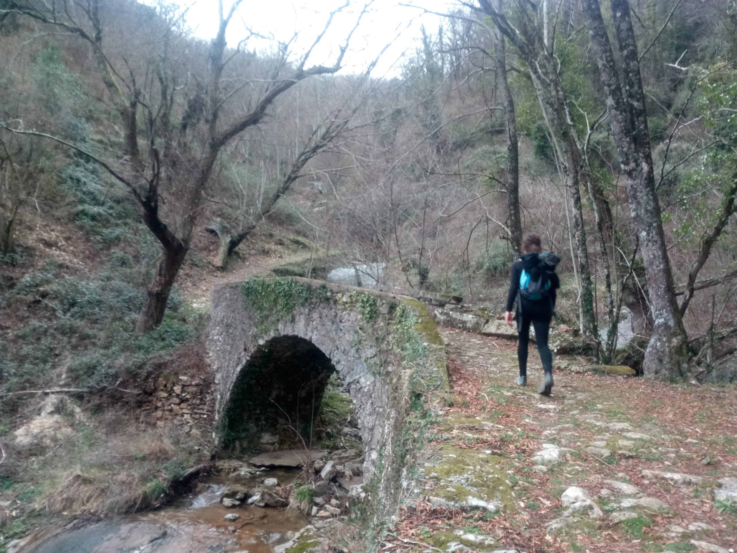 Bridge over the S.Anna-Valdicastello mule track