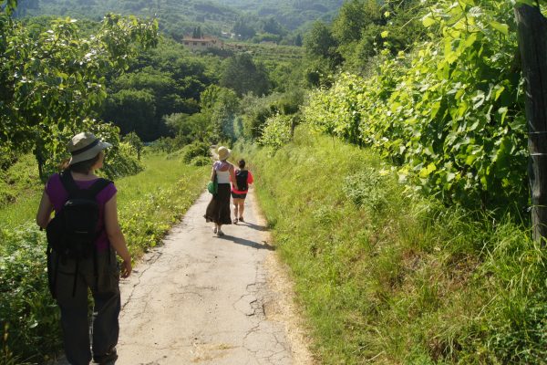 TrenoTrekking Macea Borgo a Mozzano 1