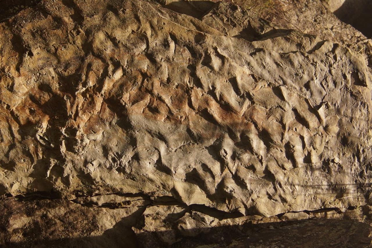 Agnano paleozoic footprints