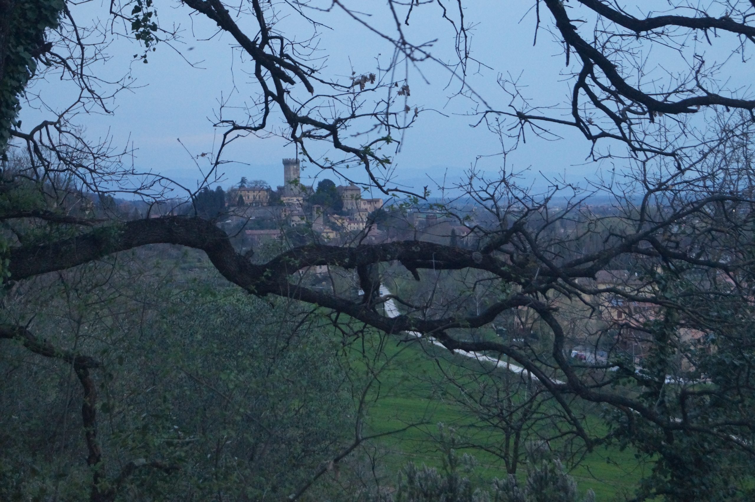 Vicopisano View 2