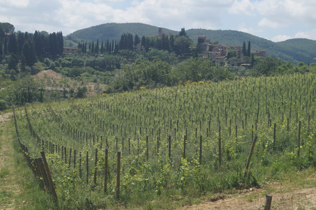 Montefioralle
