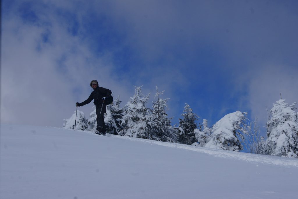 Alpe San Pellegrino ciaspole