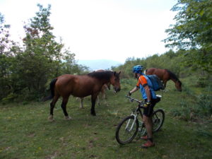Lunigiana MTB